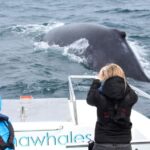 1 knysna close encounter whale watching tour by boat Knysna: Close Encounter Whale Watching Tour by Boat