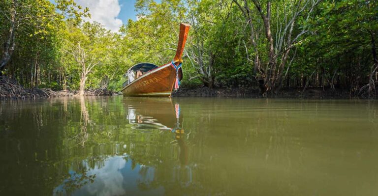 Ko Lanta: Mangrove Tour By Long Tail Boat