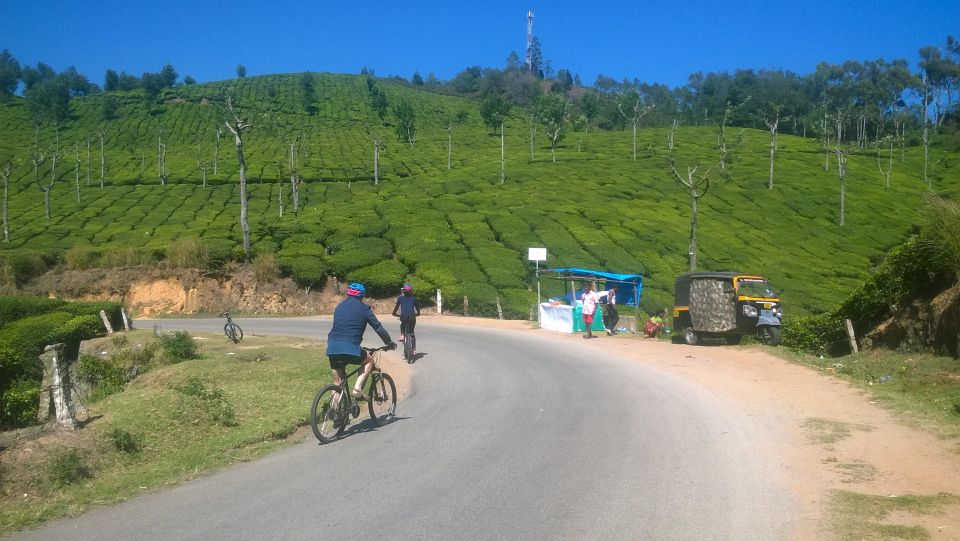 1 kochi to thattekkad kallarkutty munnar tour one way trip Kochi to Thattekkad/ Kallarkutty/ Munnar Tour (One Way Trip)