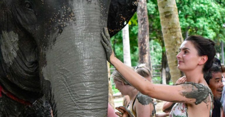 Koh Samui: Elephant Jungle Sanctuary Half-Day Tour