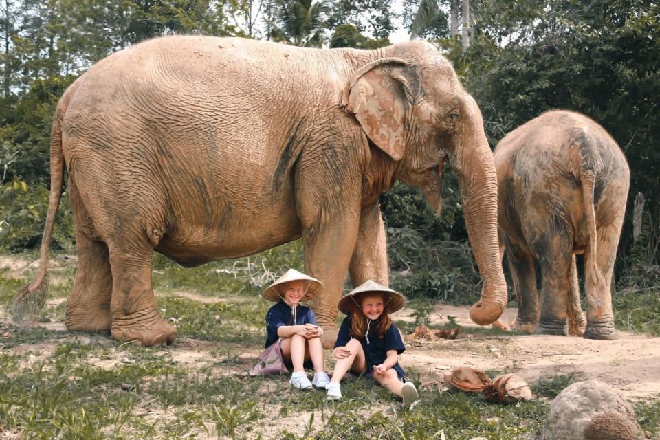 1 koh samui ethical elephant home guided tour with transfers Koh Samui: Ethical Elephant Home Guided Tour With Transfers