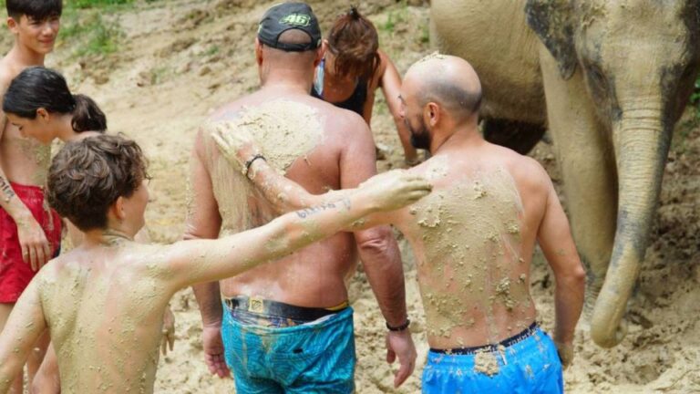 Koh Samui: Half-Day Ethical Elephant Sanctuary With Mud Spa