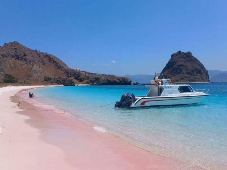 Komodo Tour : Full Day Private Speedboat All in Package