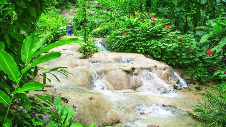 Konoko Falls and Park With Mini Zoo Private Tour