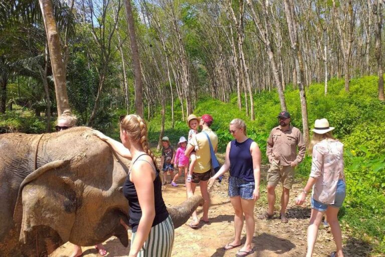 Krabi: Elephant Care House & 7-Level Huay Tho Waterfall Trip