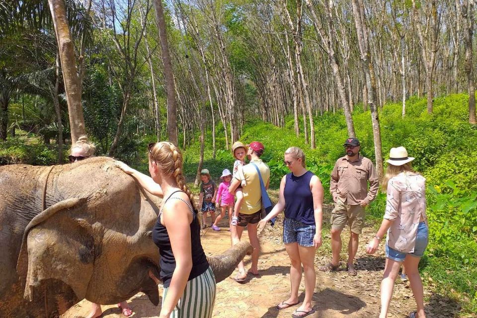 1 krabi elephant care house 7 level huay tho waterfall trip Krabi: Elephant Care House & 7-Level Huay Tho Waterfall Trip