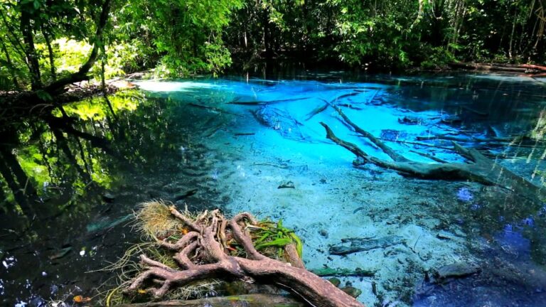 Krabi: Emerald Pool & Hot Spring Waterfall With Kayaking
