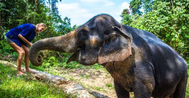 Krabi: Ethical Elephant Sanctuary Experience