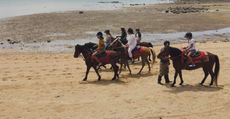 Krabi: Horseback Riding on the Beach