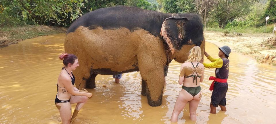 1 krabi khao sok elephant rescue center bamboo raft paddle Krabi: Khao Sok Elephant Rescue Center & Bamboo Raft Paddle