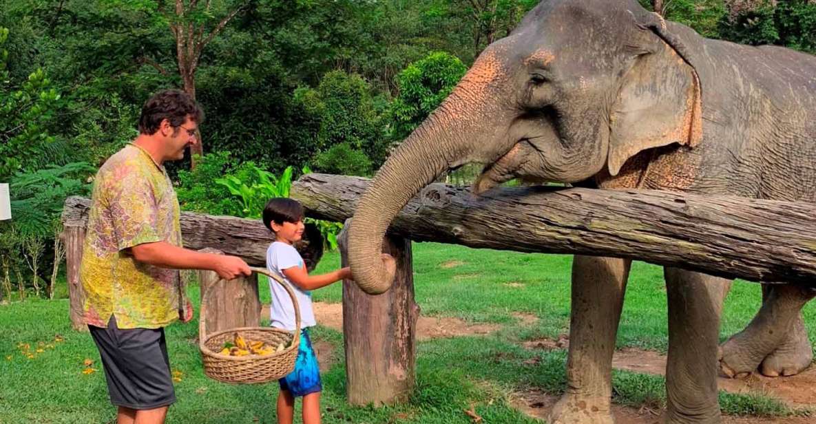 1 krabi khao sok elephant sanctuary rafting tour and lunch Krabi: Khao Sok Elephant Sanctuary, Rafting Tour, and Lunch