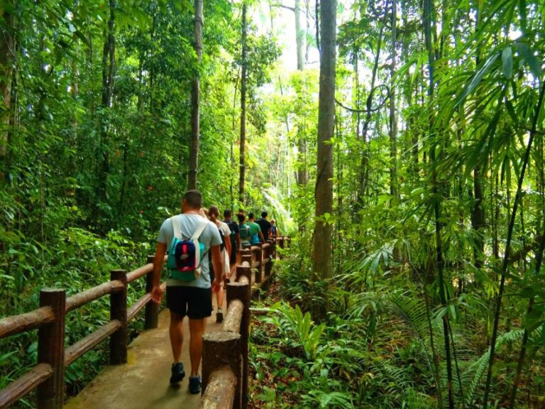 Krabi: Tiger Temple, Hot Springs & Crystal Pool Jungle Tour