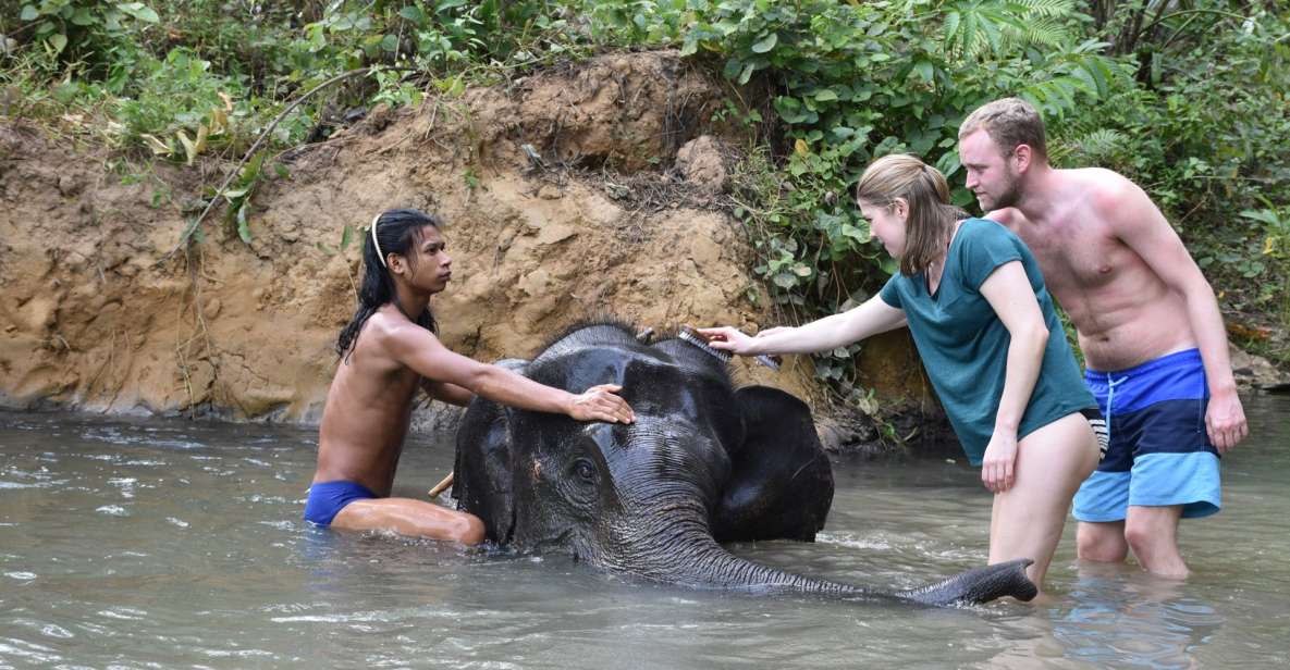 1 krabi tour of elephant care house and tiger cave temple Krabi: Tour of Elephant Care House and Tiger Cave Temple