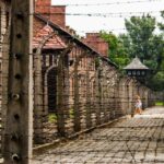1 krakow auschwitz birkenau guided tour private transport Kraków: Auschwitz-Birkenau Guided Tour & Private Transport