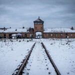 1 krakow auschwitz birkenau guided tour with transportation Krakow: Auschwitz-Birkenau Guided Tour With Transportation
