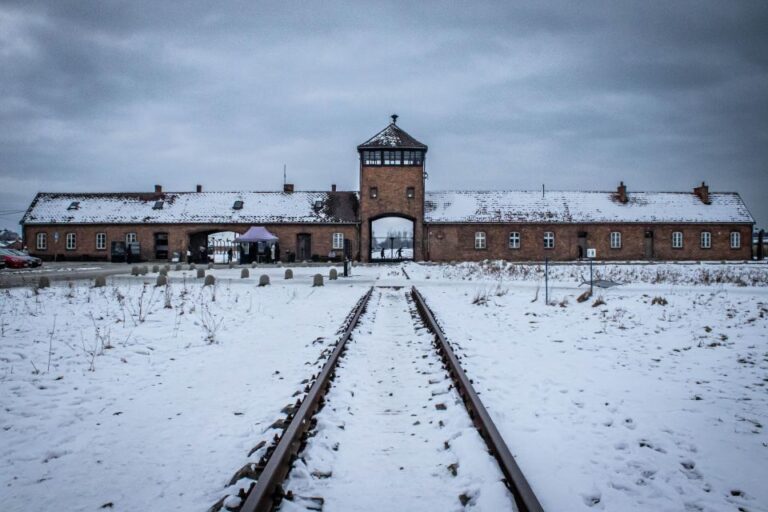Krakow: Auschwitz-Birkenau Guided Tour With Transportation