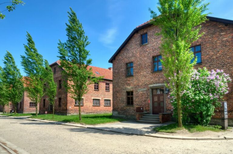 Krakow: Wieliczka Salt Mine and Auschwitz-Birkenau Tour