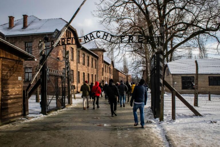Krakow:Luxury Service Auschwitz-Birkenau Tour & Hotel Pickup
