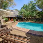 1 kruger national park 3 day safari tour and treehouse stay Kruger National Park: 3-Day Safari Tour and Treehouse Stay