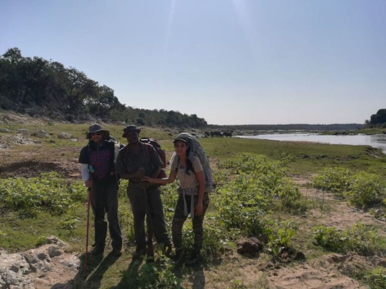 Kruger National Park: 3-Hour Walking Safari
