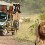 1 kruger national park morning safari Kruger National Park: Morning Safari
