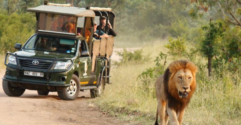 Kruger National Park: Morning Safari