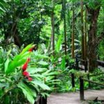 1 kula eco park and local school full day tour in fiji denarau island Kula Eco Park and Local School Full-Day Tour in Fiji - Denarau Island