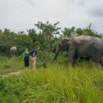 1 kulen elephant forest tour with hotel pick up drop off Kulen Elephant Forest Tour With Hotel Pick-Up & Drop off