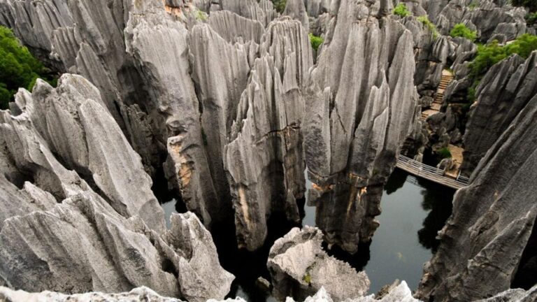 Kunming: Private Half Day Tour of Stone Forest Park W/Option