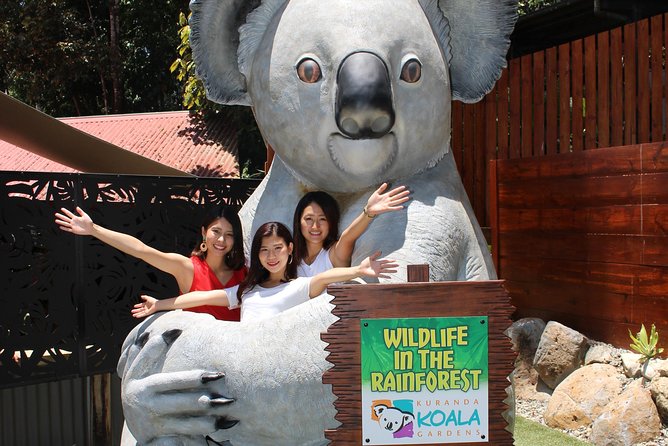 1 kuranda koala gardens and birdworld admission tickets Kuranda Koala Gardens and Birdworld Admission Tickets