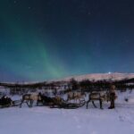 1 kvaloya northern lights tour reindeer sledding from tromso mar Kvaloya Northern Lights Tour, Reindeer Sledding From Tromso (Mar )