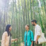 1 kyoto 5 hour arashiyama walking tour Kyoto: 5-Hour Arashiyama Walking Tour