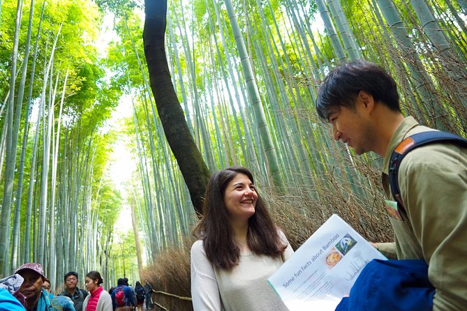 Kyoto Arashiyama Bamboo Forest & Garden Half-Day Walking Tour