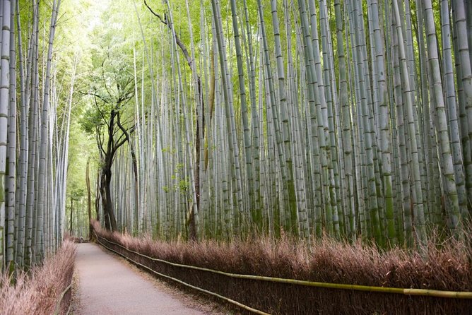 Kyoto Arashiyama Best Spots 4h Private Tour With Licensed Guide