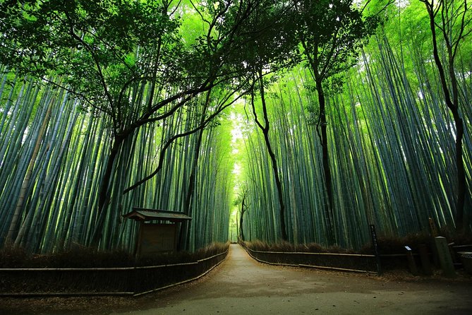 1 kyoto arashiyama sagano bamboo private tour with government licensed guide Kyoto Arashiyama & Sagano Bamboo Private Tour With Government-Licensed Guide