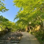 1 kyoto full day tour visiti kyoto sanzen in and arashiyama Kyoto Full Day Tour: Visiti Kyoto Sanzen-In and Arashiyama