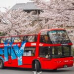 1 kyoto hop on hop off sightseeing bus ticket Kyoto: Hop-on Hop-off Sightseeing Bus Ticket