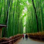 1 kyoto japanese gardens private customizable tour Kyoto: Japanese Gardens Private Customizable Tour