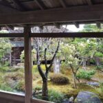 1 kyoto kobe osaka arashiyama and fushimi inari private tour Kyoto/Kobe/Osaka: Arashiyama and Fushimi Inari Private Tour