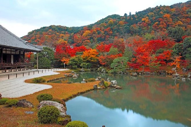 Kyoto Sagano Bamboo Grove & Arashiyama Walking Tour