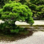1 kyoto zen garden zen mind private Kyoto: Zen Garden, Zen Mind (Private)
