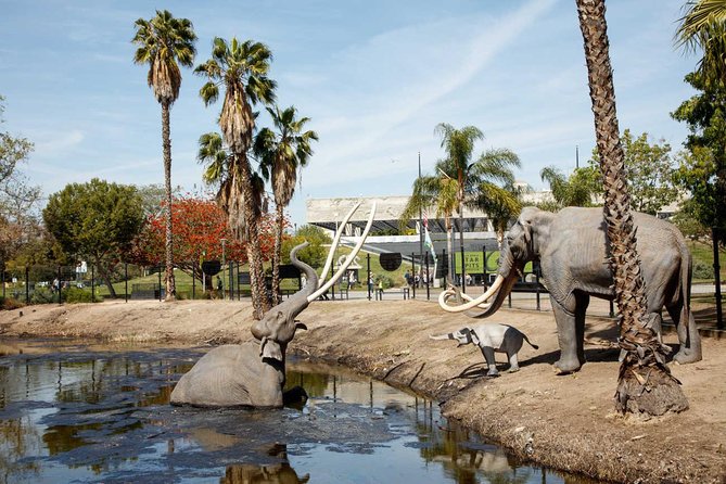 La Brea Tar Pits and Museum Admission Ticket With Excavator Tour
