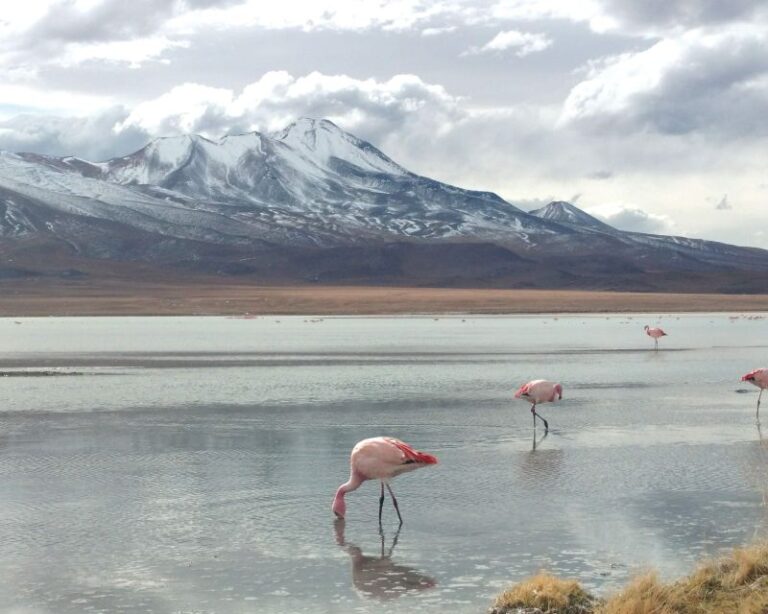 La Paz: 4-Day Uyuni & Colored Lagoons With Flight and Hotel