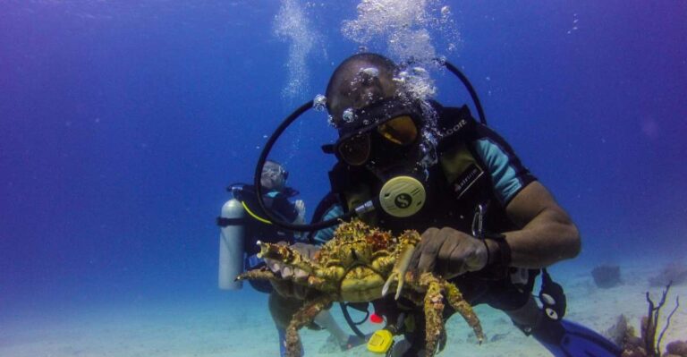 La Romana: Scuba Diving in Catalina Island