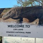 1 labuan bajo one day tour to explore komodo national park Labuan Bajo: One Day Tour to Explore Komodo National Park