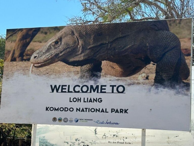 Labuan Bajo: One Day Tour to Explore Komodo National Park