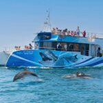 1 lagos dolphin watching half day cruise water activities Lagos: Dolphin Watching Half-Day Cruise & Water Activities