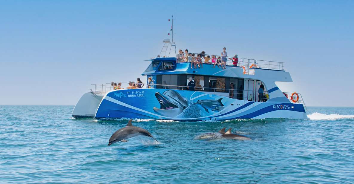 1 lagos dolphin watching half day cruise water activities Lagos: Dolphin Watching Half-Day Cruise & Water Activities