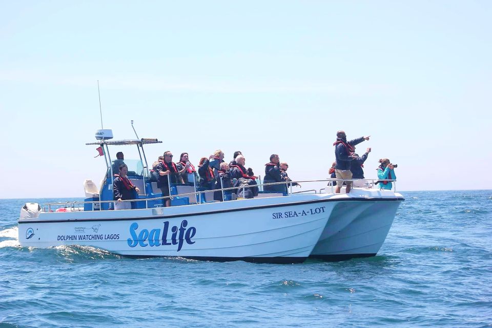 1 lagos dolphin watching with marine biologists Lagos: Dolphin Watching With Marine Biologists