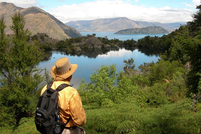 Lake Cruise & Mou Waho Island Nature Walk